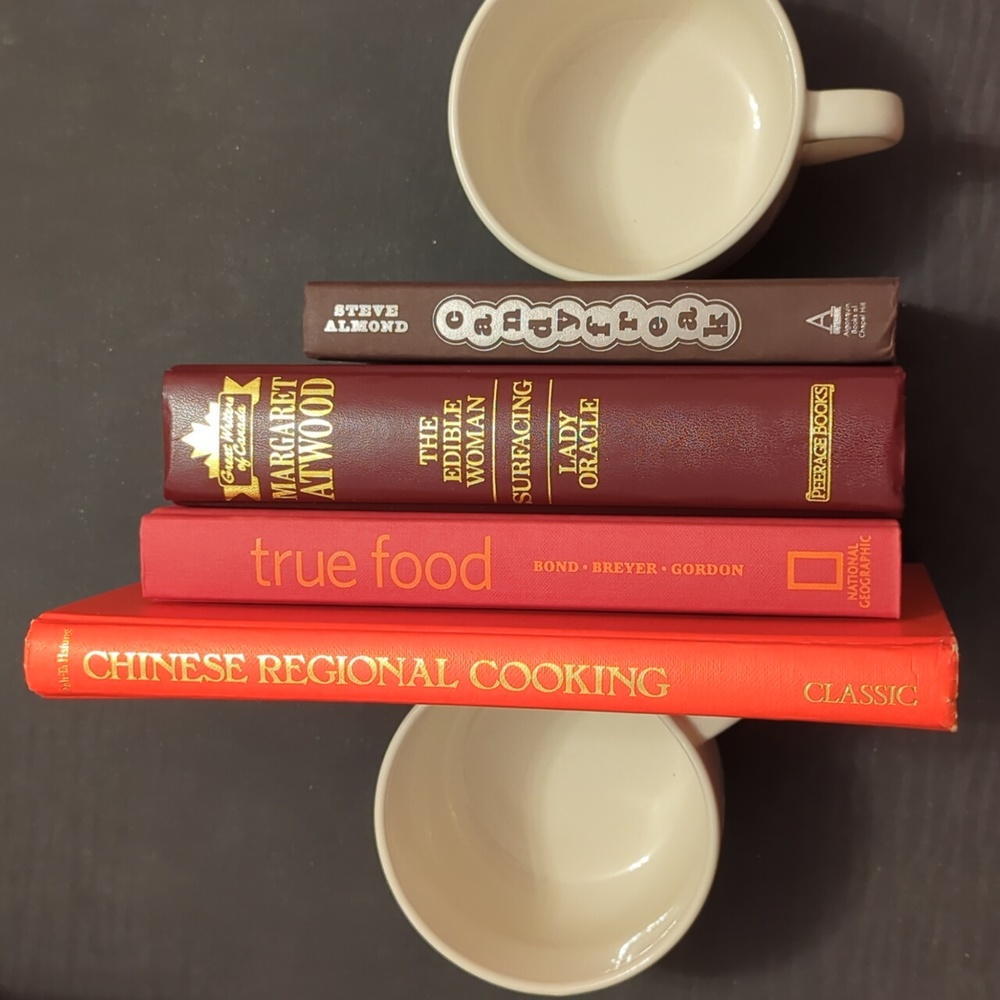 Decorative Book Stack Decor Set of 4 Hardcover Books Margaret Atwood Omnibus